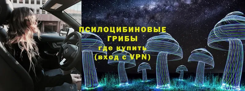 купить закладку  Калтан  МЕГА как зайти  Галлюциногенные грибы MAGIC MUSHROOMS 